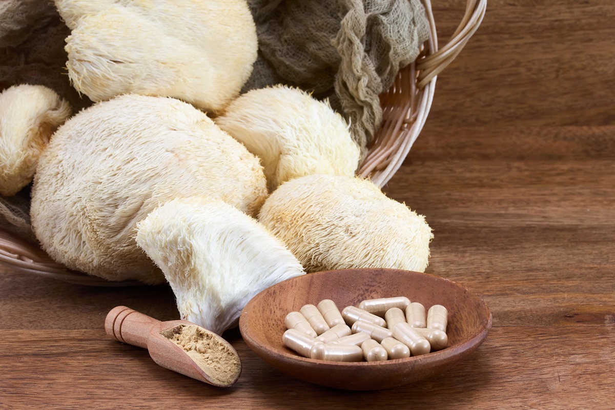 خرید قارچ یال شیر
